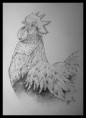 /album/galleria-fotografica/coroart4-jpg-jpg/